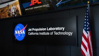 116398818 s