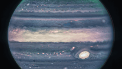 1646x1561 223945992096