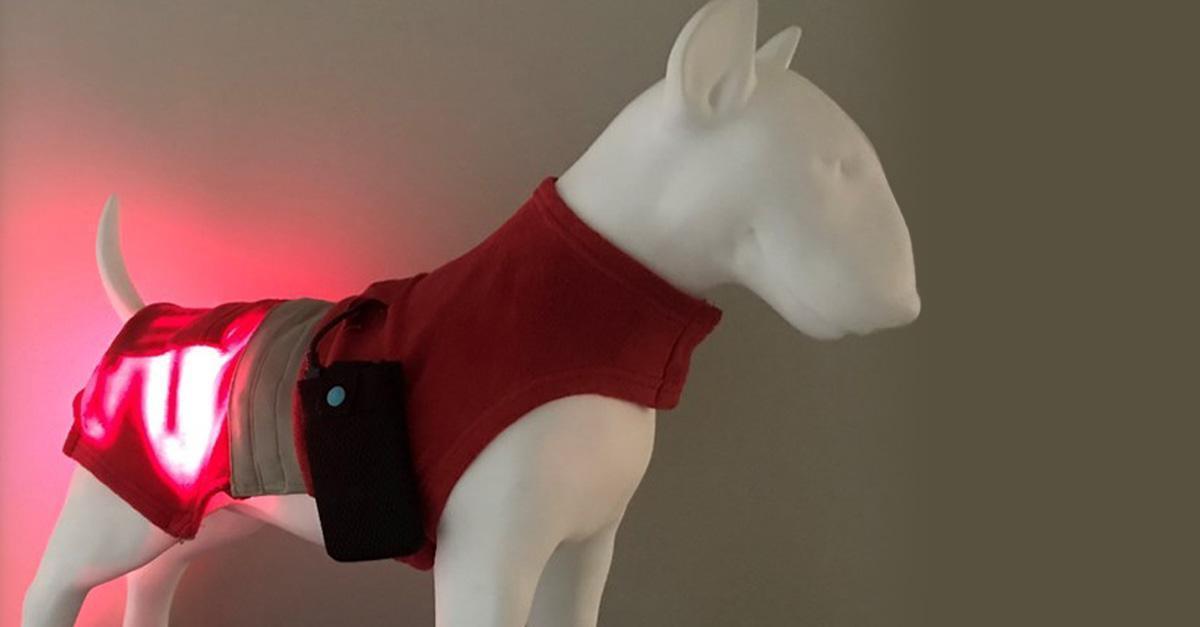 白水堯 元培師生癌的「寵物保健治療衣」穿戴示意圖