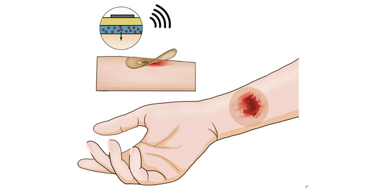 螢幕擷取畫面 2022 11 29 112940