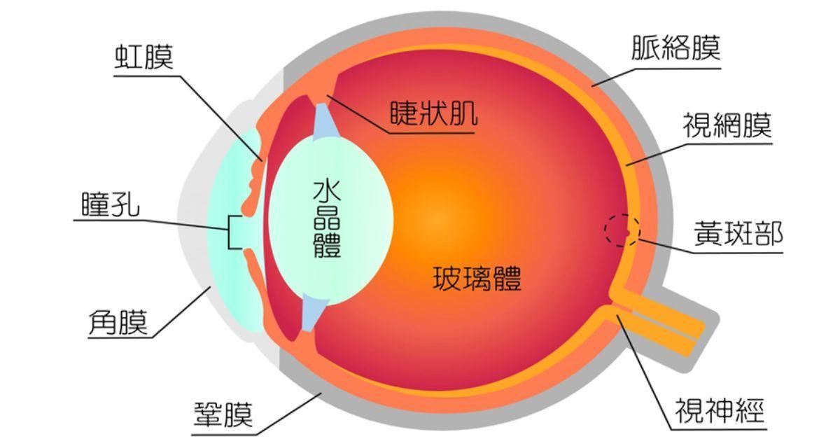 未命名設計