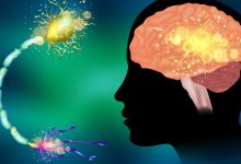 嬰兒罕見癲癇性痙攣  科學家發現致病原因與治療。示意圖／123RF