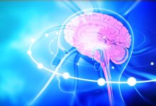 是大腦還是人工智慧？類智能器官　能在大腦上運行。示意圖／123RF