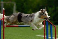 112327316 fb link normal none