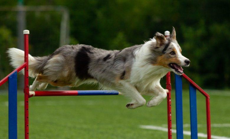 112327316 fb link normal none