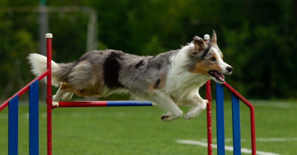 112327316 fb link normal none