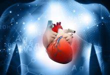 科學家發現致命心臟病可自發性逆轉，研發治療中風鼻滴劑。（示意圖／123RF）