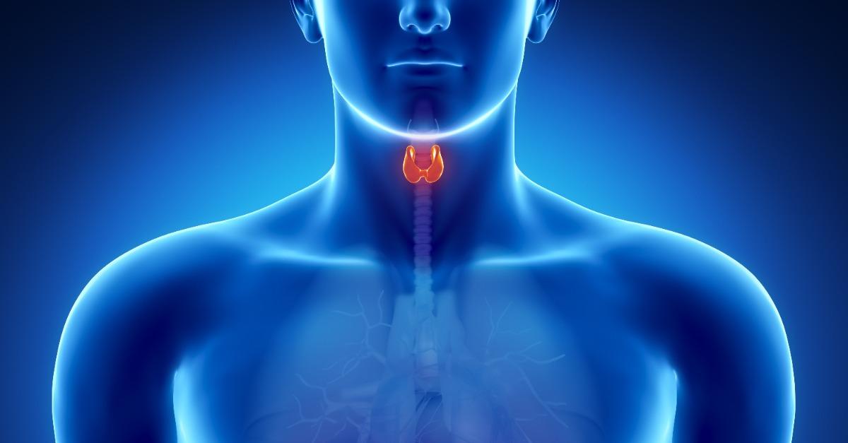 10611486 fb link normal none