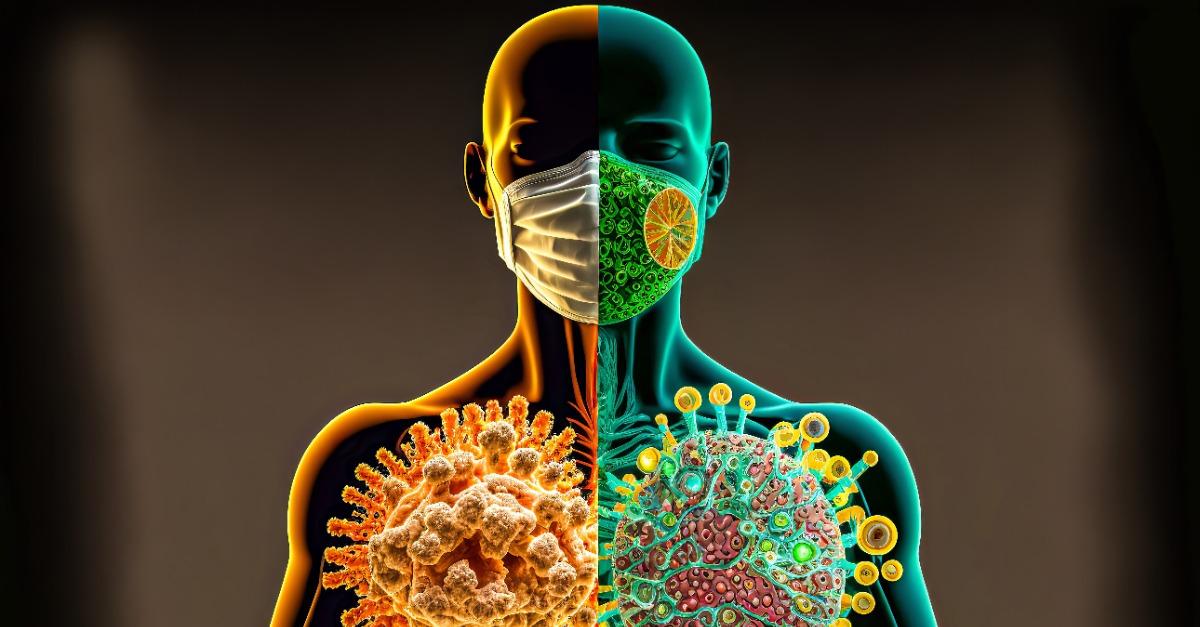 immune system 2