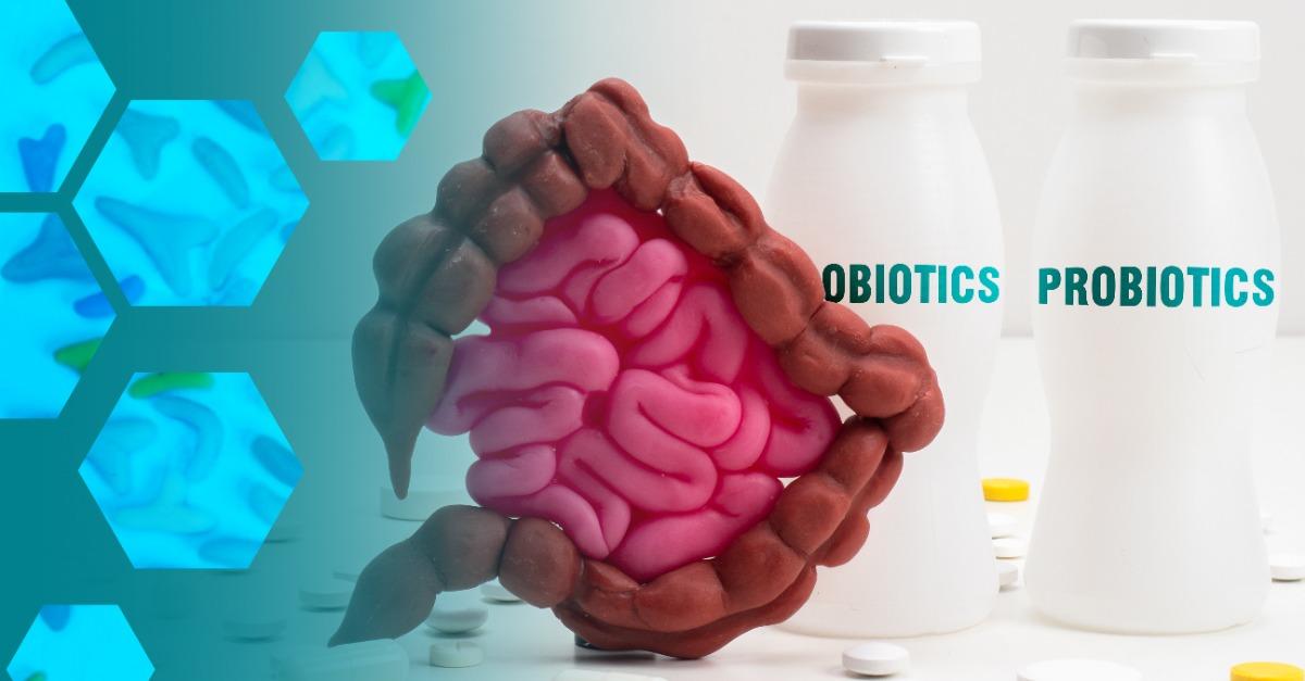 Probiotic bacteria. Useful microorganisms for intestines