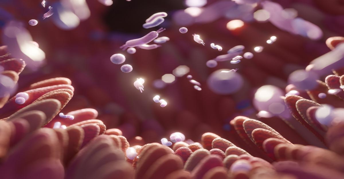 gastrointestinal tract