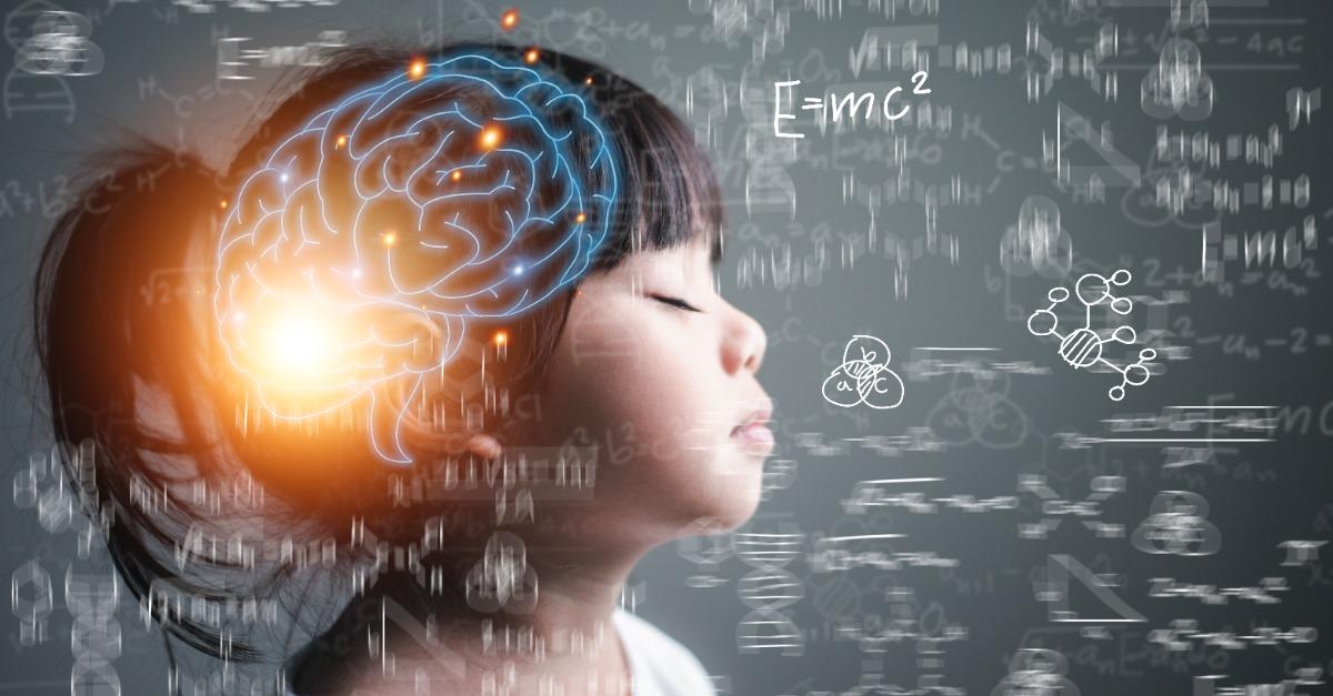 kid brain