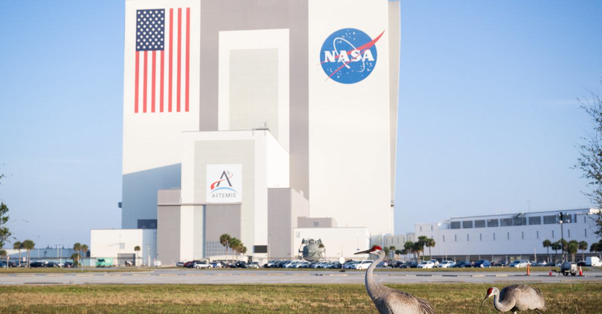 NASA