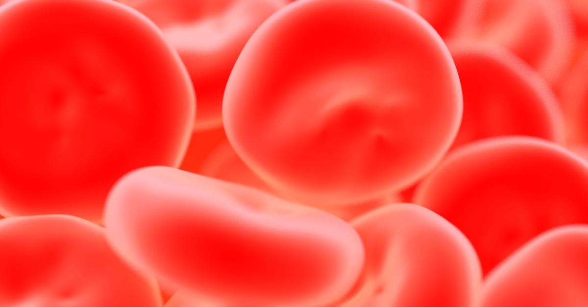 red blood cells