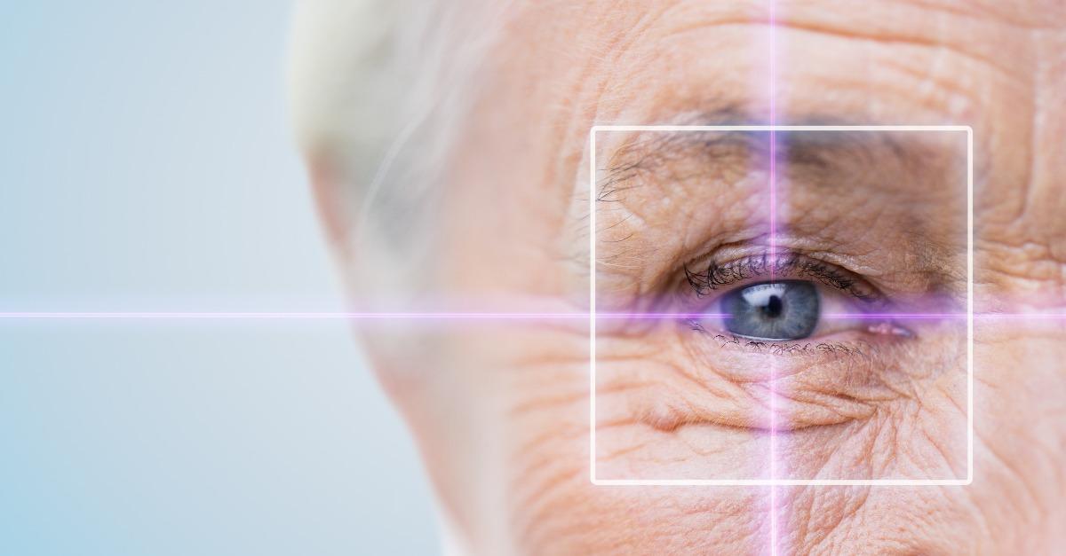 retina