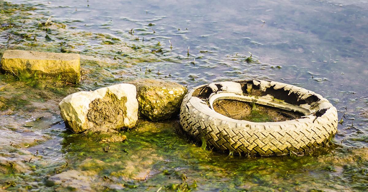 A discarded car tire