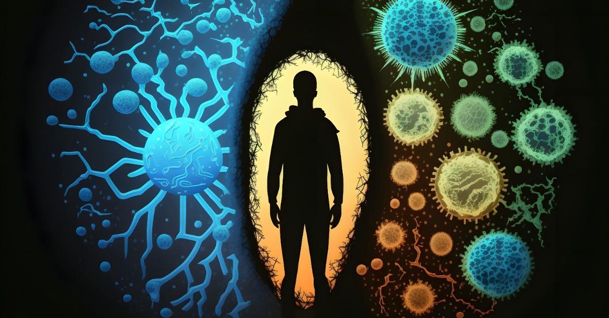 Human immune system
