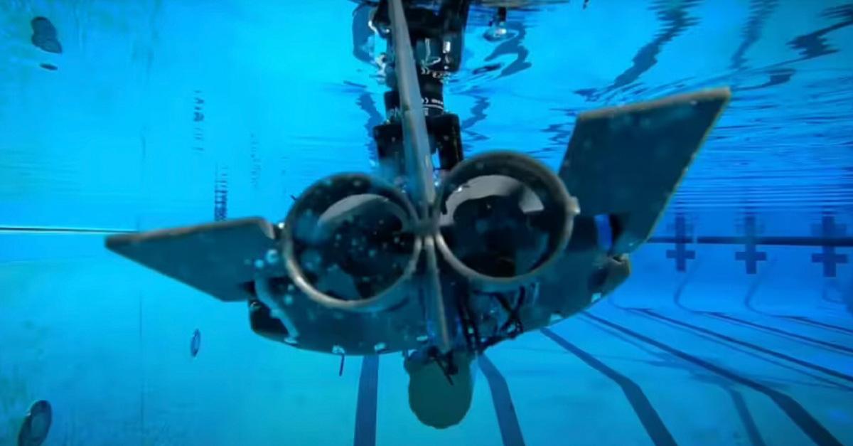 The robo fish can propel themselves underwater