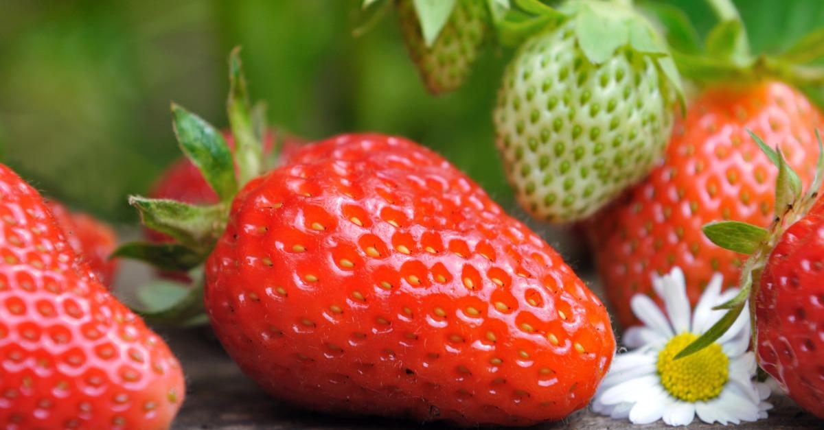 strawberry