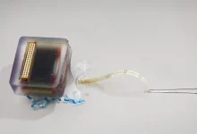 一種植入式電子設備安全地恢復了脊髓損傷大鼠的運動能力。（圖／截取自奧克蘭大學）