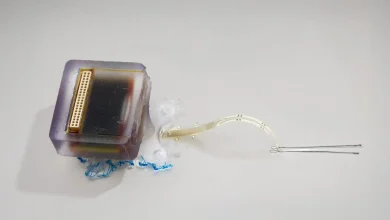 一種植入式電子設備安全地恢復了脊髓損傷大鼠的運動能力。（圖／截取自奧克蘭大學）