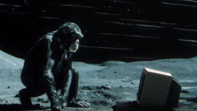 Moonvalley