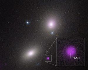恆星「劫後餘生」?科學家探討黑洞與恆星互動兩種可能 1 2 16