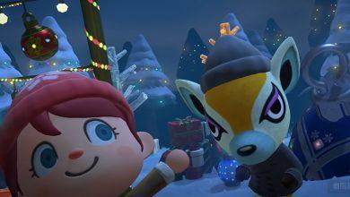 Animal Crossing 3