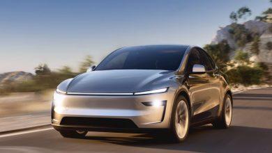 MODEL Y