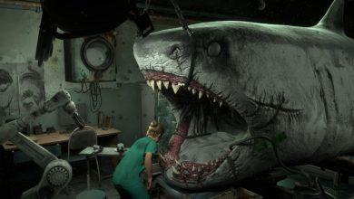 Shark Dentist 1