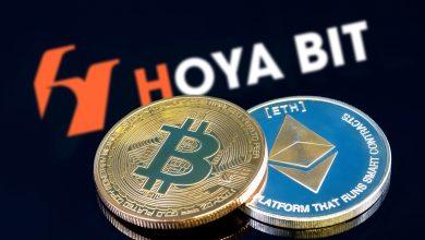 HOYABIT logo