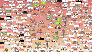 bongo cat