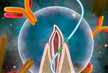 科學家們發現，牙線未來有一天可能成為疫苗接種的工具。（圖／截取自北卡羅來納州立大學）