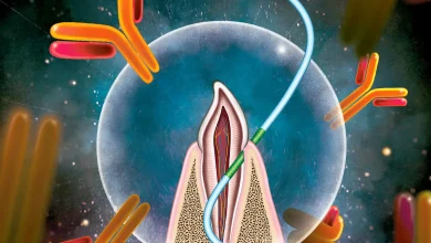 科學家們發現，牙線未來有一天可能成為疫苗接種的工具。（圖／截取自北卡羅來納州立大學）