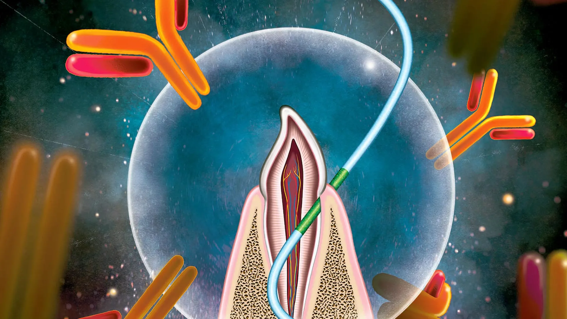 科學家們發現，牙線未來有一天可能成為疫苗接種的工具。（圖／截取自北卡羅來納州立大學）