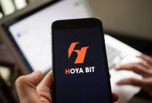 HOYA BIT logo 20250922