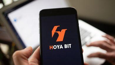 HOYA BIT logo 20250922