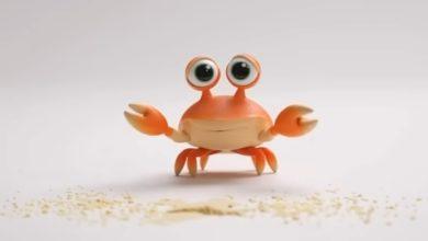 超可愛!一張寵物照Sora就能打造AI角色影片 完整教學送上 4 1761882025660