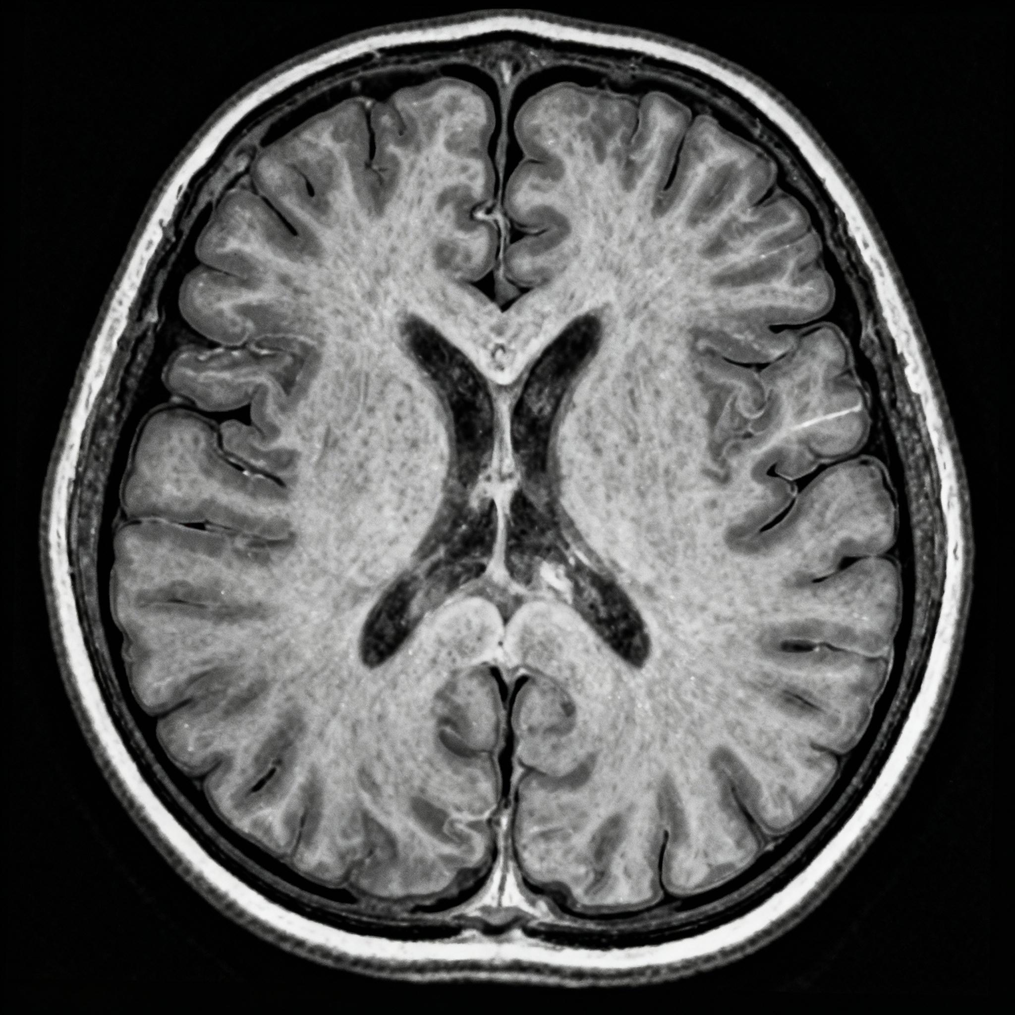 1badb05f 9a01 4707 b197 4cfa573042de