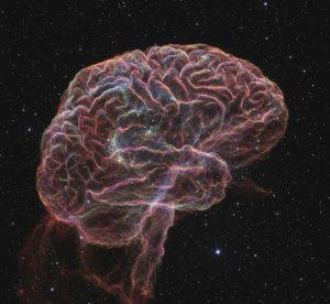 天文攝影捕捉腦髓星雲壯麗景象 宛如宇宙大腦 1 2 15