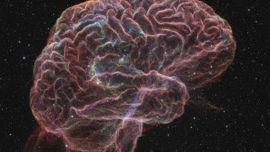 天文攝影捕捉腦髓星雲壯麗景象 宛如宇宙大腦 4 2 15