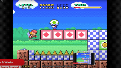 Mario Wario