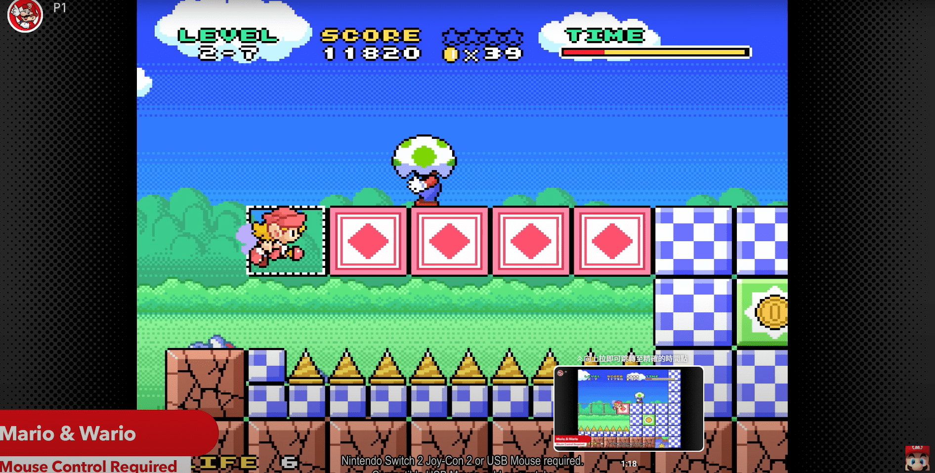Mario Wario