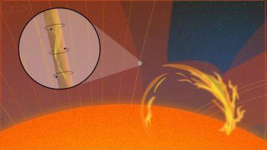 科學家首次觀測到太陽微型扭轉磁波 揭開日冕超高溫之謎 4 2 1