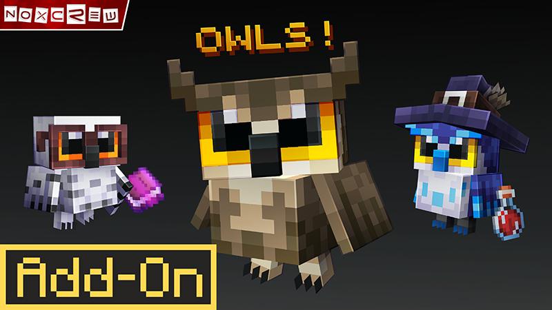 Minecraft Marketplace Owl Thumbnail