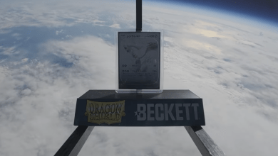 截圖 2025 11 10 11.06.08