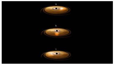 百年預言成真!天文學家首度在撕星事件中看見黑洞拖動時空 4 1 10