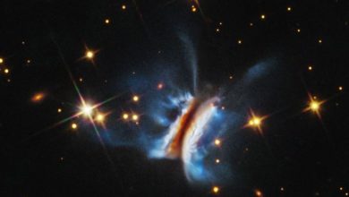 哈伯望遠鏡觀測到史上最大原行星盤 揭示行星形成的極端環境 4 1 17