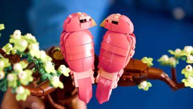 情人節送禮救星!樂高Ideas系列揭露新品「愛情鳥」套組、愛心剪影登場 5 1765433500130