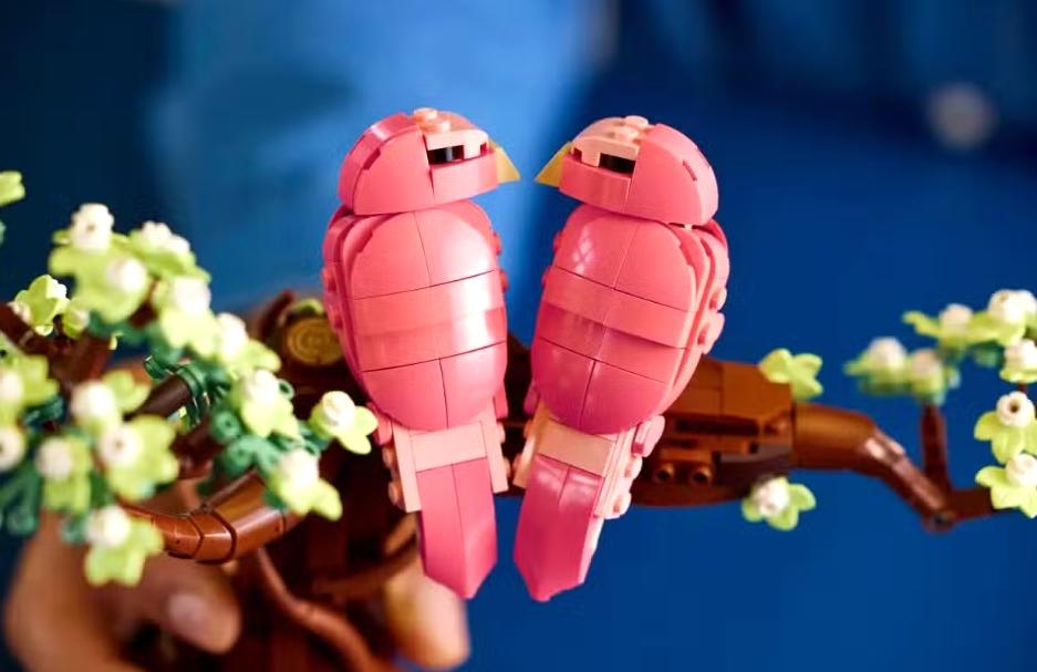 情人節送禮救星!樂高Ideas系列揭露新品「愛情鳥」套組、愛心剪影登場 1 1765433500130